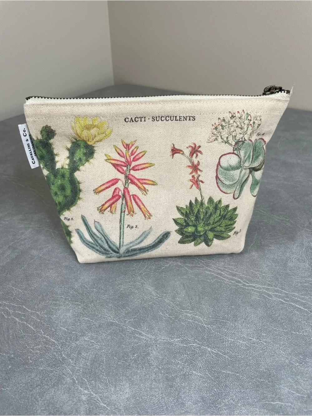 Cavallini & Co. Cacti & Succulents Natural Cotton Canvas Zip Top Cosmetic Bag